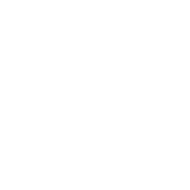 百度百丽