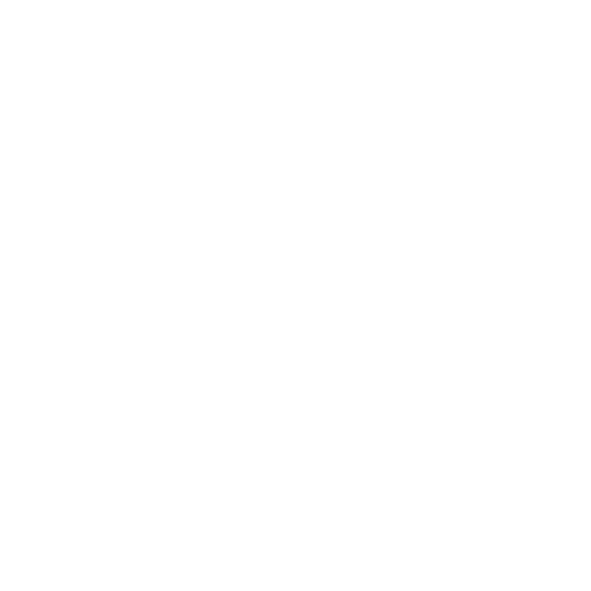 思泰赛尔